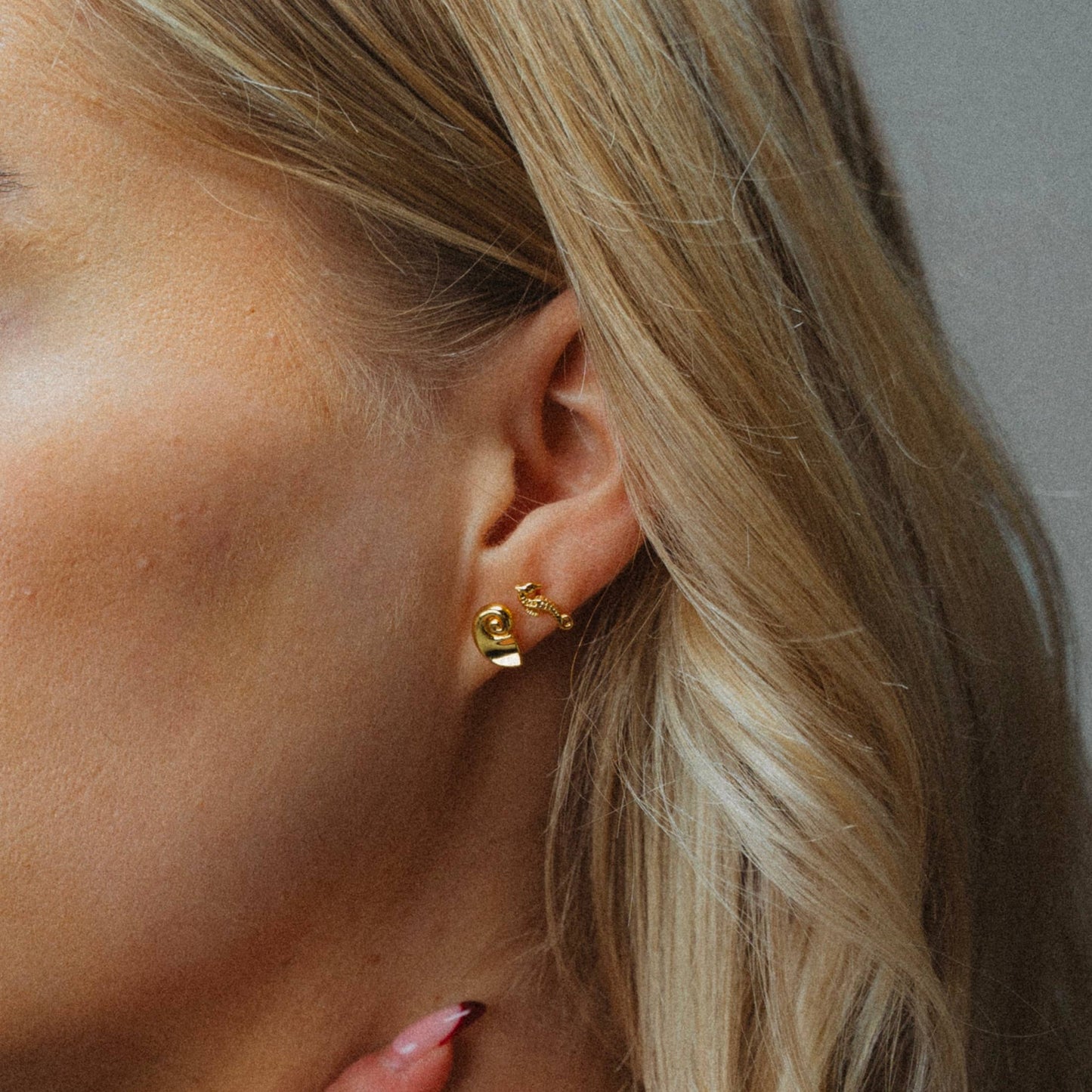 Nautilus Shell Studs