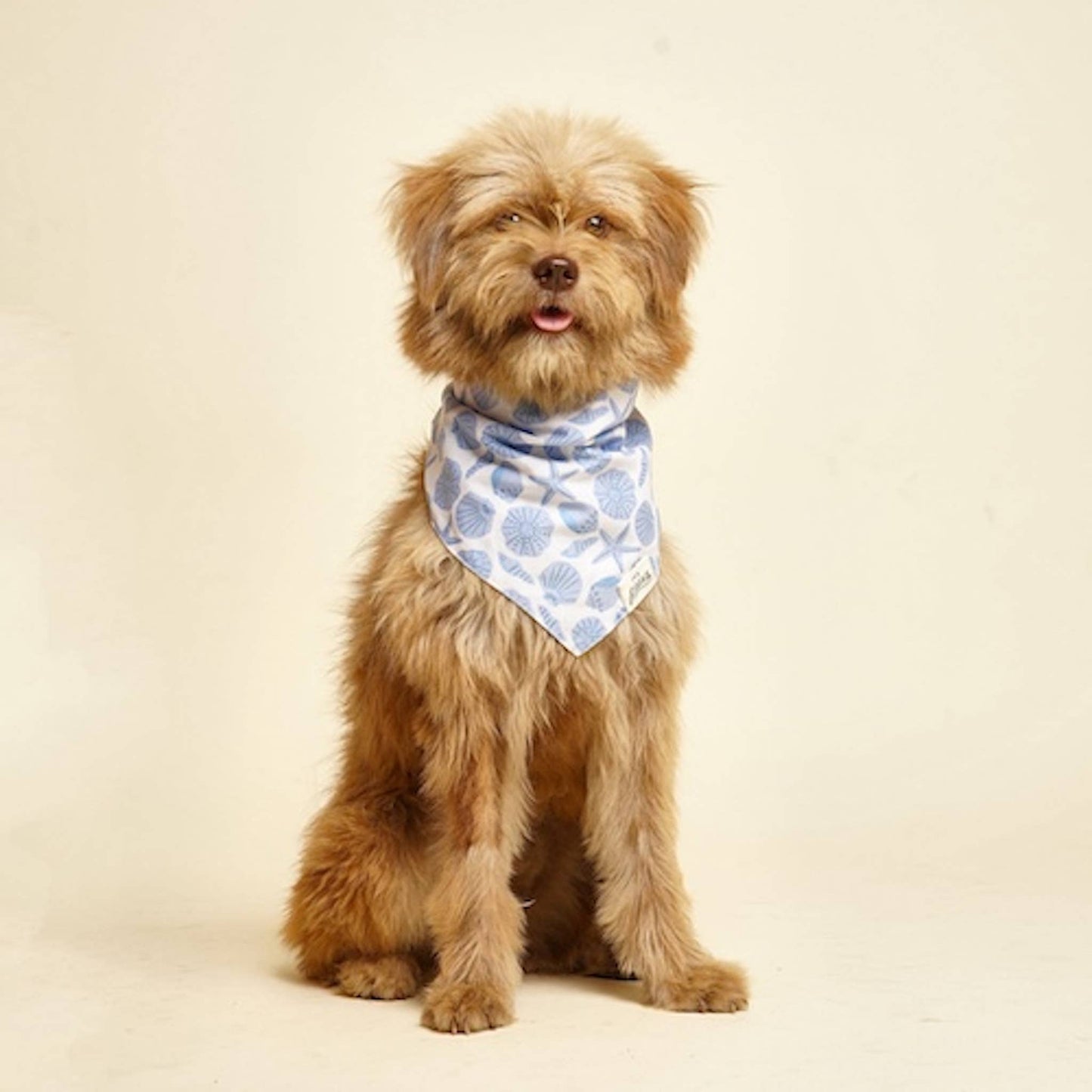 Seaside Dog Bandana