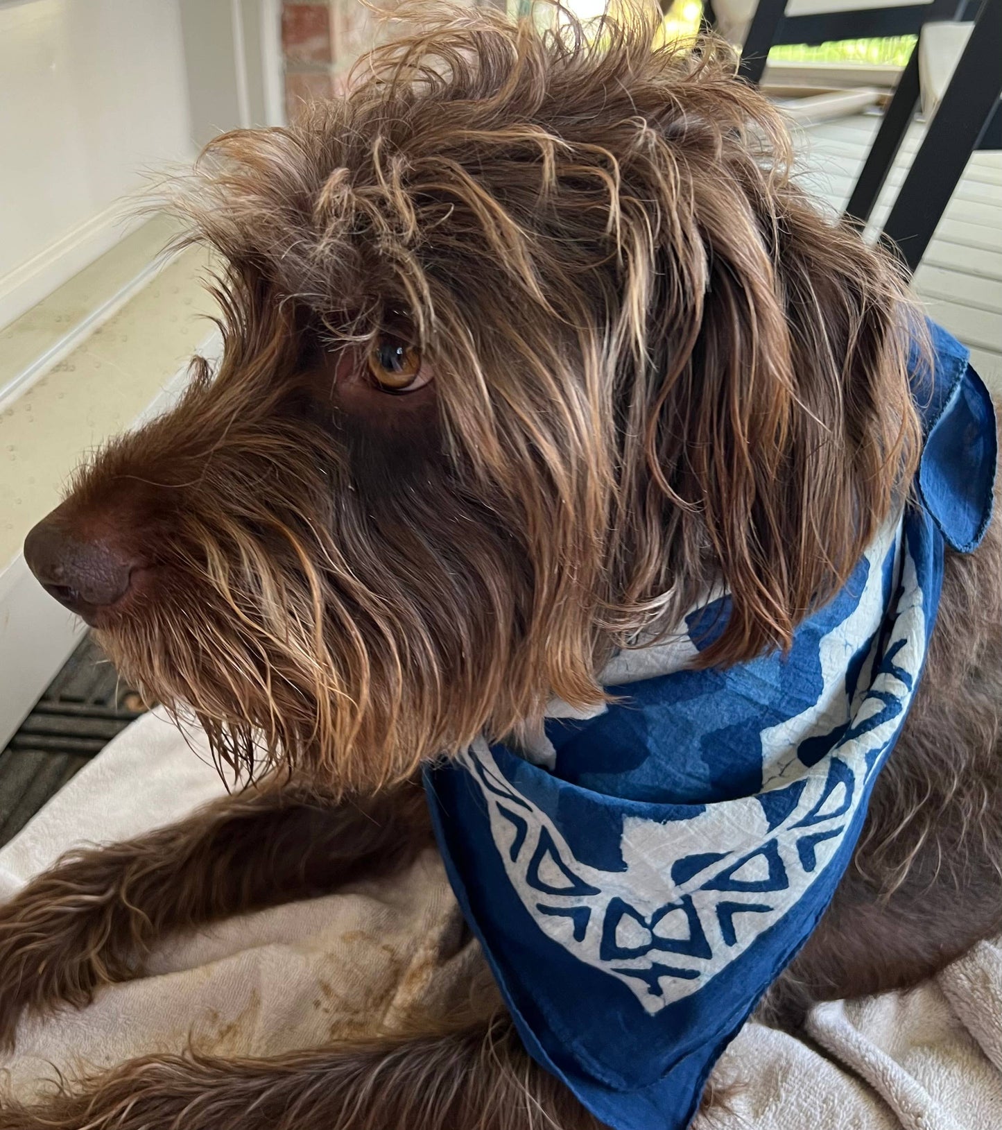 Bandana - Indigo Swim