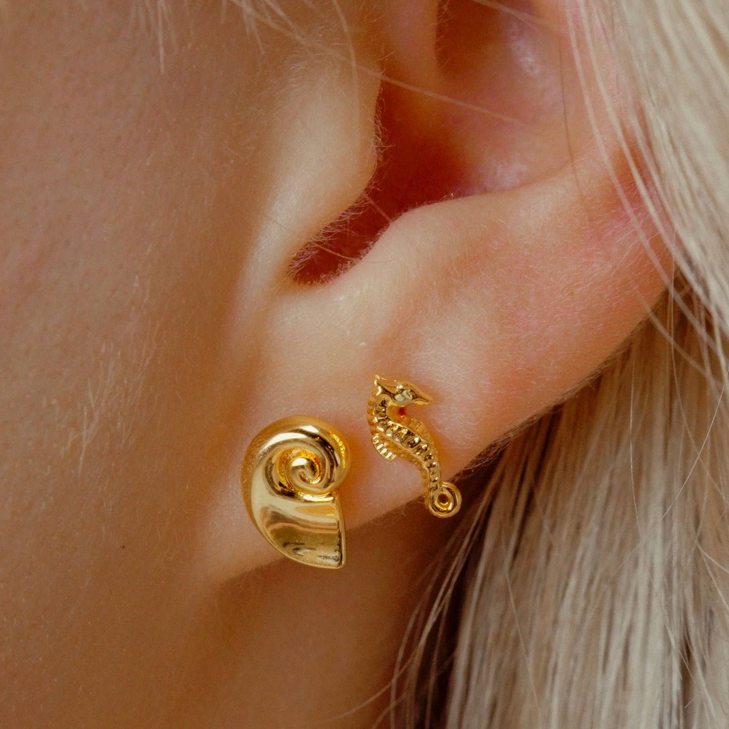 Nautilus Shell Studs