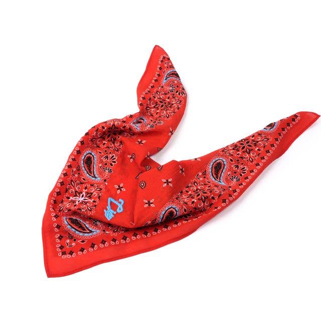 Ciao Paisley Cotton Bandana - Persimmon