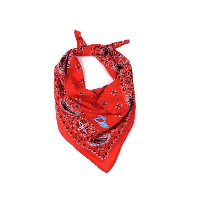Ciao Paisley Cotton Bandana - Persimmon