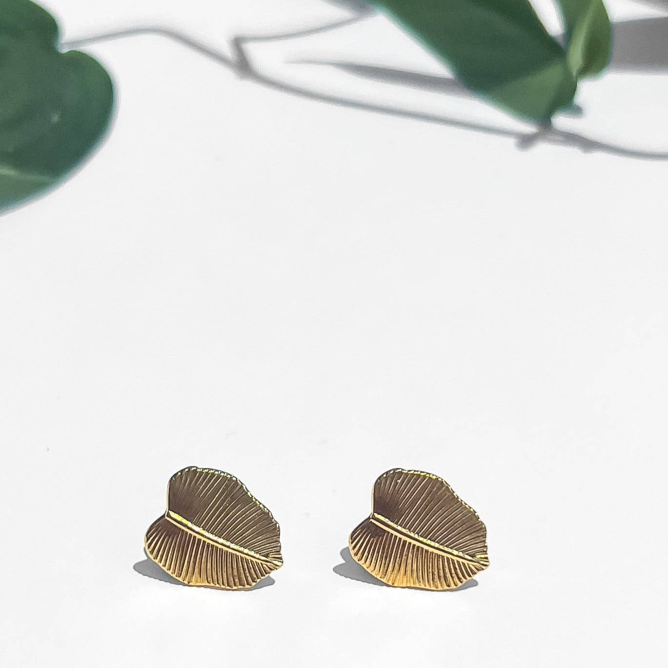 Philodendron Studs