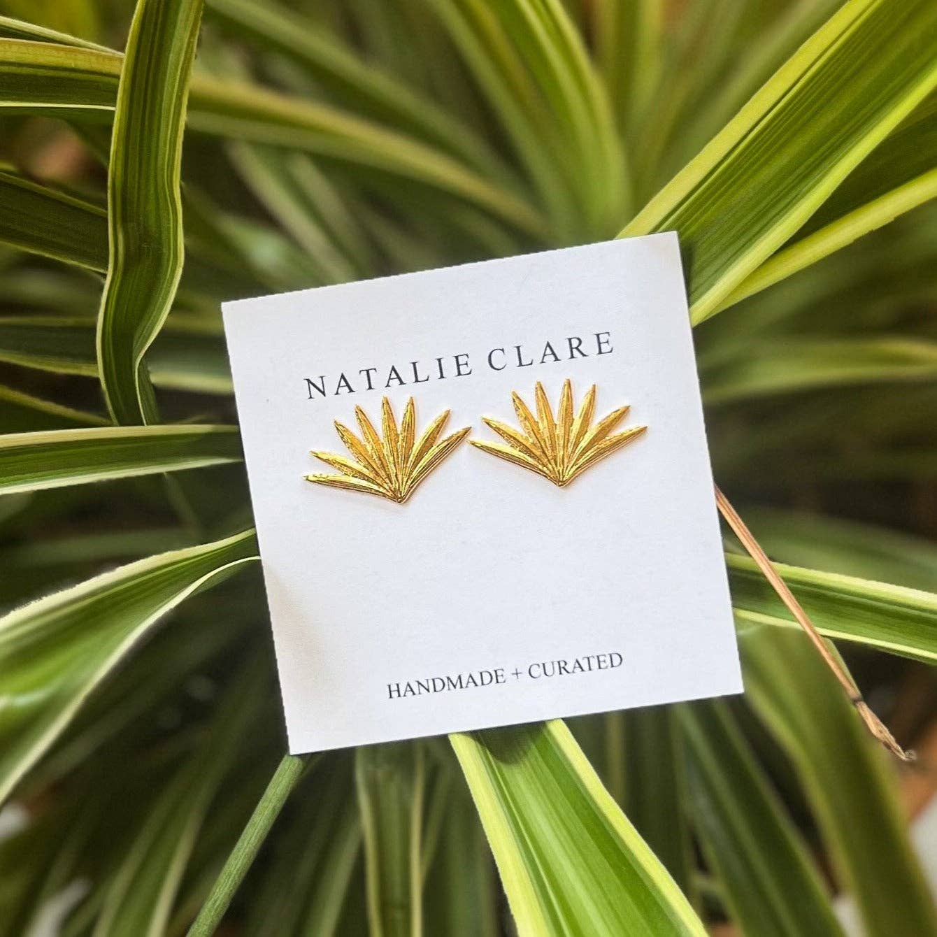 Fan Palm Studs