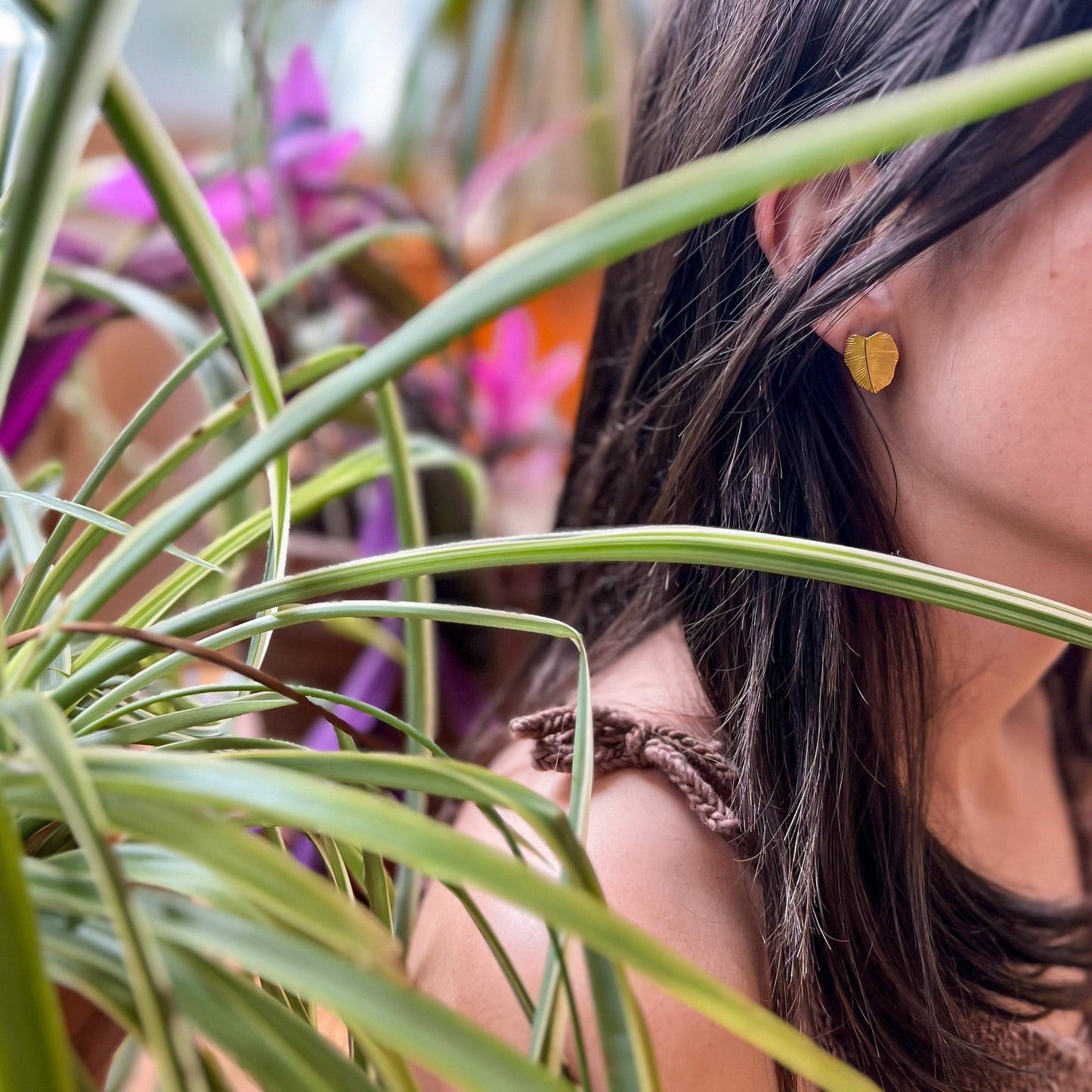 Philodendron Studs