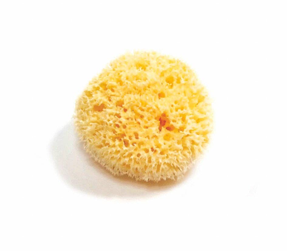 Natural Sea Sponge - Plastic Free Organic Sea Sponge